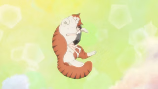 Uruwashi no Yoi no Tsuki