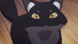 Majutsushi Kunon wa Mieteiru
